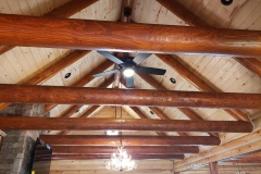 Living Area Ceilings